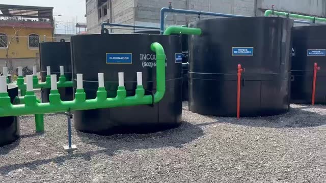 Video de la planta